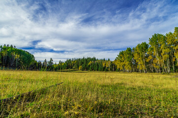 Fototapeta premium Cloudcroft, New Mexico, USA