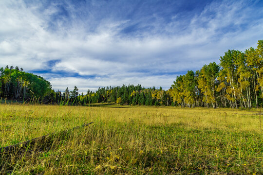 Cloudcroft, New Mexico, USA