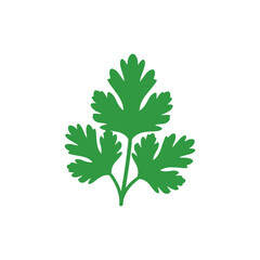 Coriander Leaves Modern Flat Herb Icon Vector Art