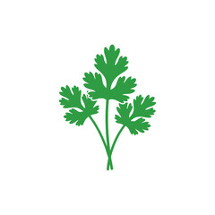 Coriander Leaves Simple Botanical Flat Icon Design