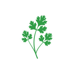 Coriander Plant Clean Green Flat Art Botanical Icon