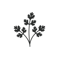 Obraz premium Coriander Plant Fresh Herb Flat Vector Icon