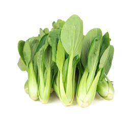 Fresh pak choi cabbage isolated on white background