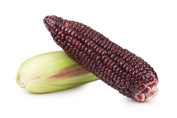 fresh purple corn isolated on white background