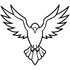 Obraz premium eagle with wings