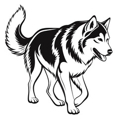 Fototapeta premium Siberian husky dog walking vector line art illustration in minimalist style