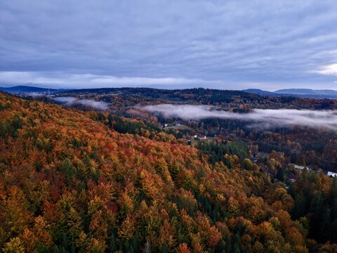 calm morning among fogcovered woodland areas, serene early dawn over hazy trees and distant settlements