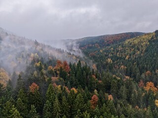 autumn fog scenery, serene fall landscape with mist, quiet autumn valley shrouded in drifting mist © Nataliia