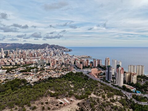 urban ridge meets ocean horizon, seaside city ridge featuring trees and dense highrise clusters