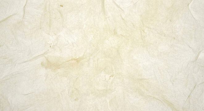 Top view of innovative chitosan biopolymer sheet from fungi, translucent milky white tones, organic flaky structure, biodegradable plastic alternative, smooth matte surface, high detail texture