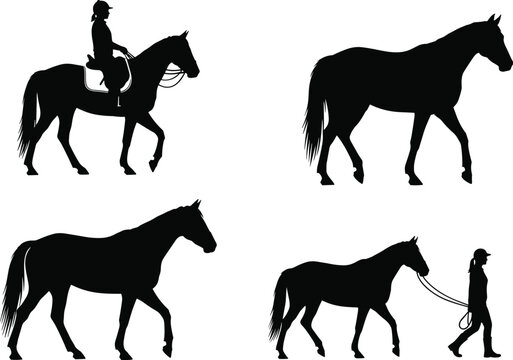 Black silhouette set of equestrian activities featuring horse riding, walking horses, and a person leading a horse on white background.