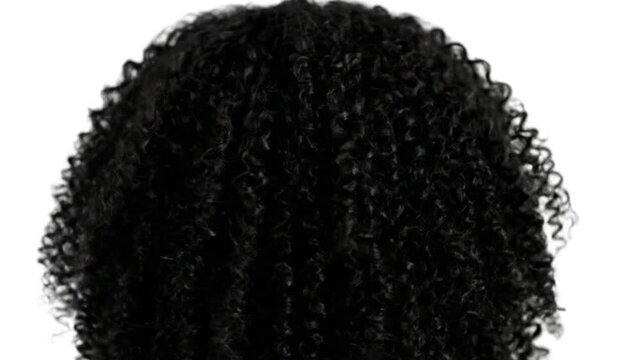 Back view of dark, tightly curled hair against a white background. Texture detail. Close up shot