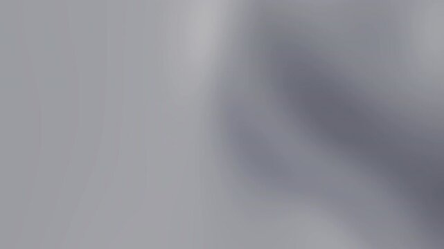 Elegant gray gradient animation featuring soft, flowing motions and a modern aesthetic that enhances visual depth and tranquility.