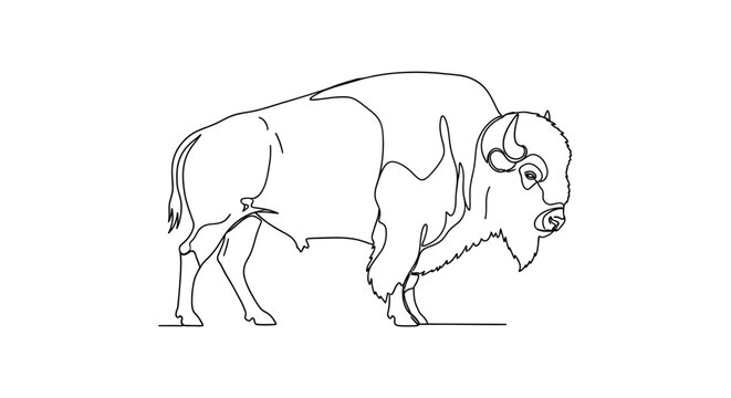 Minimalist Line Art Bison Illustration - Single Line Drawing of a Buffalo