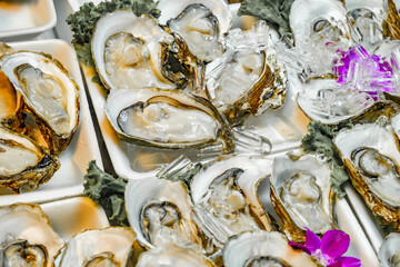 fresh open oysters, selective focus © elenvd