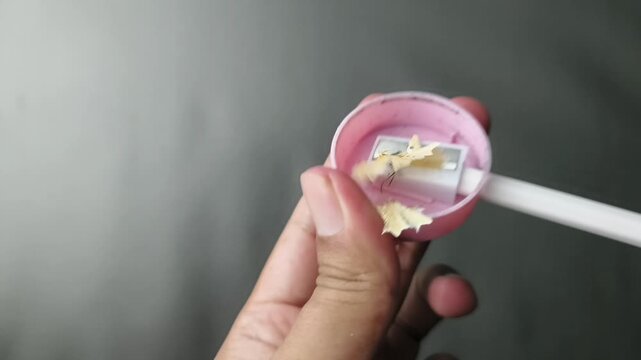 Hand Holding Small Pencil Sharpener with Shavings &ndash; Macro Close Up