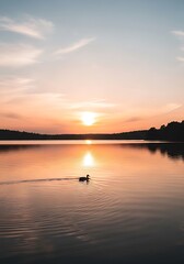 Peaceful dusk landscape with a duck silhouette swimming in tranquil lake