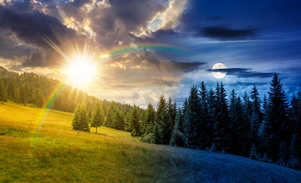 gradual slope of the mountain range with coniferous forest. day and night time change concept. remote countryside landscape with spruce trees on the grassy meadow with sun and moon in summertime