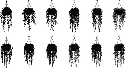 Vector set of black hanging plant silhouettes, isolated indoor ivy and trailing vine icons for interior design, home decor, gardening, and nature graphics © MstSalema