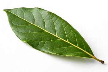 Obraz premium green leaf isolated on white