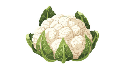Whole cauliflower with fresh green leaves is illustrated in a realistic style, emphasizing the texture of this healthy cruciferous vegetable.