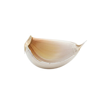 Single garlic clove isolated On Transparent Background