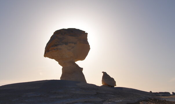 Silhouette of Mushroom Rock at Sunset in White Desert of Egypt