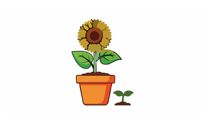 Sunflower cartoon vector set with yellow flowers in pots and seedlings for garden, nursery, and kids illustrations