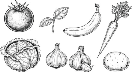 Vintage engraved vector illustration set featuring tomato, banana, carrot, cabbage, garlic, potato, and basil leaf, isolated on a white background. © Shihab Creative