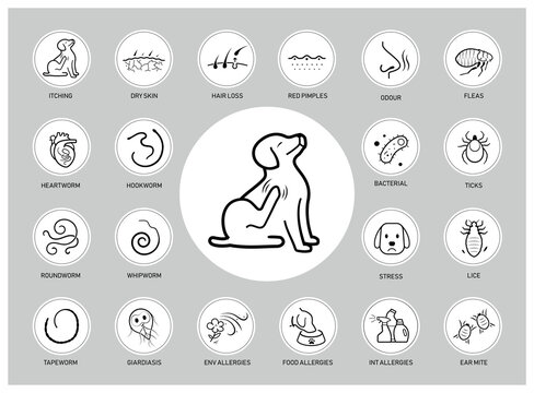 Set of vector icons focuses on cats and dog parasites and worms. The icons are designed to be versatile, suitable for use in informational materials, veterinary goods, pet care, apps, and more. EPS10.