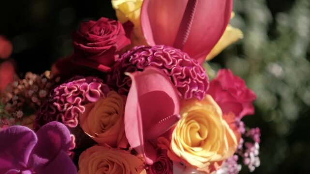 Extreme close up of a colorful floral arrangement with pink anthurium and celosia in natural light. Macro slow zoom