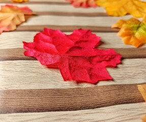 Colorful Autumn Leaves Background Texture