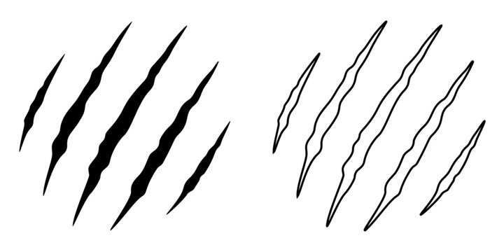 animal scratch vector illustration