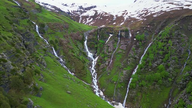 sheep in the mountains, bhrigu lake