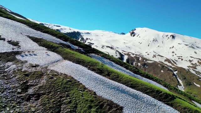 sheep in the mountains, bhrigu lake