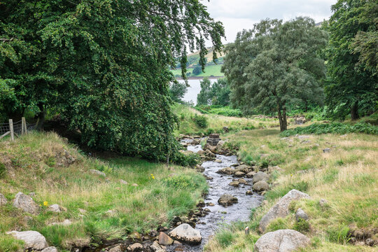 Rural scene with trees and small brook in Peak District at Saddleworth Moor in Greater Manchester.