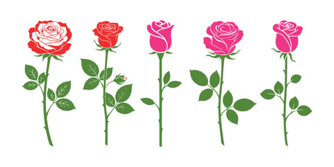 Naklejka premium Elegant Pink and Red Roses Flowers Collection, a Beautiful Botanical Floral Vector Illustration Set