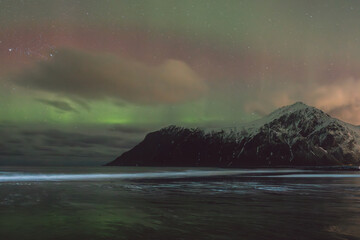 Northern lights - Norway - February arctic night sky with colorful aurora borealis © Cristian Bortes