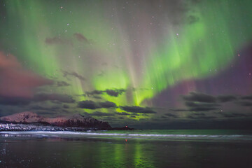Northern lights - Norway - February arctic night sky with colorful aurora borealis © Cristian Bortes