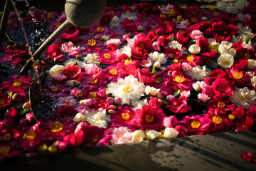 色とりどりの花を浮かべた花手水