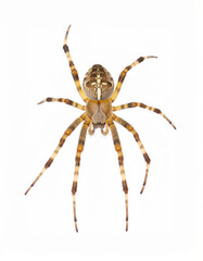 Obraz premium Futuristic Spaceship Flying at Hyper Speed in Deep Space, Warp Engine Starship Science Fiction Background