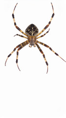 Futuristic Spaceship Flying at Hyper Speed in Deep Space, Warp Engine Starship Science Fiction Background