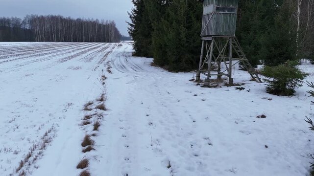 Aerial drone footage of a wooden hunting stand (high seat) surrounded by snow-covered forest in Podlaskie region, northeastern Poland. Winter landscape with evergreen trees and rural wilderness scener