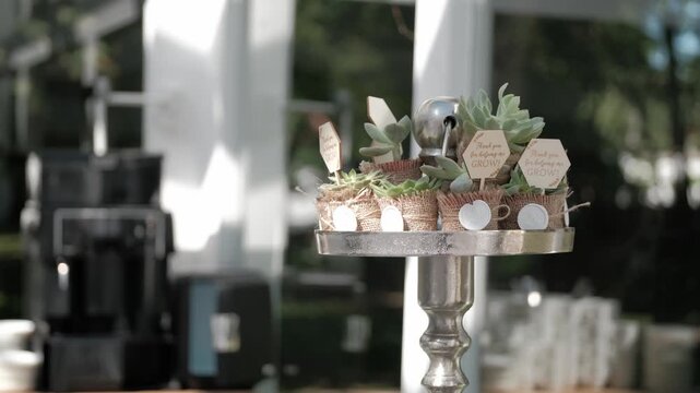 Small potted succulents in burlap wrap with thank you signs on a silver tiered stand at an outdoor event