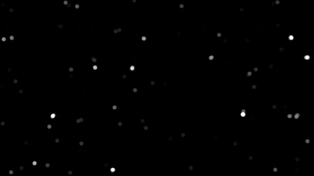 Stars twinkling in night sky