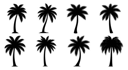Collection of Eight Silhouette Palm Trees on White Background, Tropical Icons © Avoxel