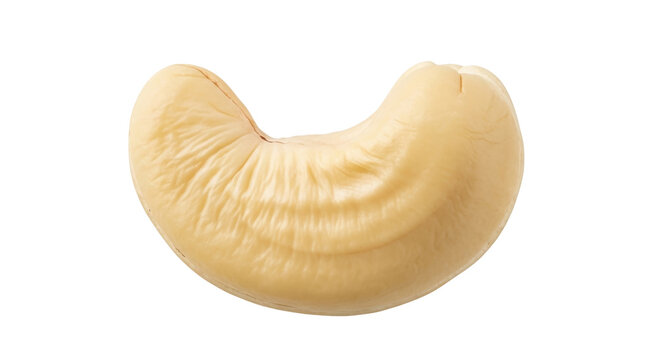 Single cashew nut isolated PNG on transparent background, healthy snack food rich in nutrients and vitamins for vegan diet