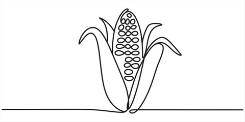 Continuous line drawing of a fresh corn on the cob with husks on a white background. Vector, illustration © Kanu Art_Gallery