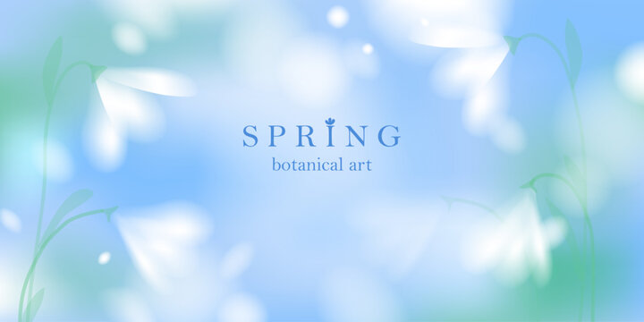 Spring landscape blurred background. White elegant soft flowers. Blue sky, green grass. Natural fresh mood.