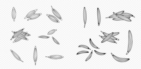 Set of hand-drawn banana illustrations in various arrangements and perspectives, perfect for design elements.